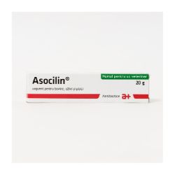 Asocilin 20gr