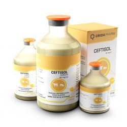 Ceftisol 100 ml