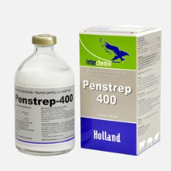 Penstrep-400 100 ml